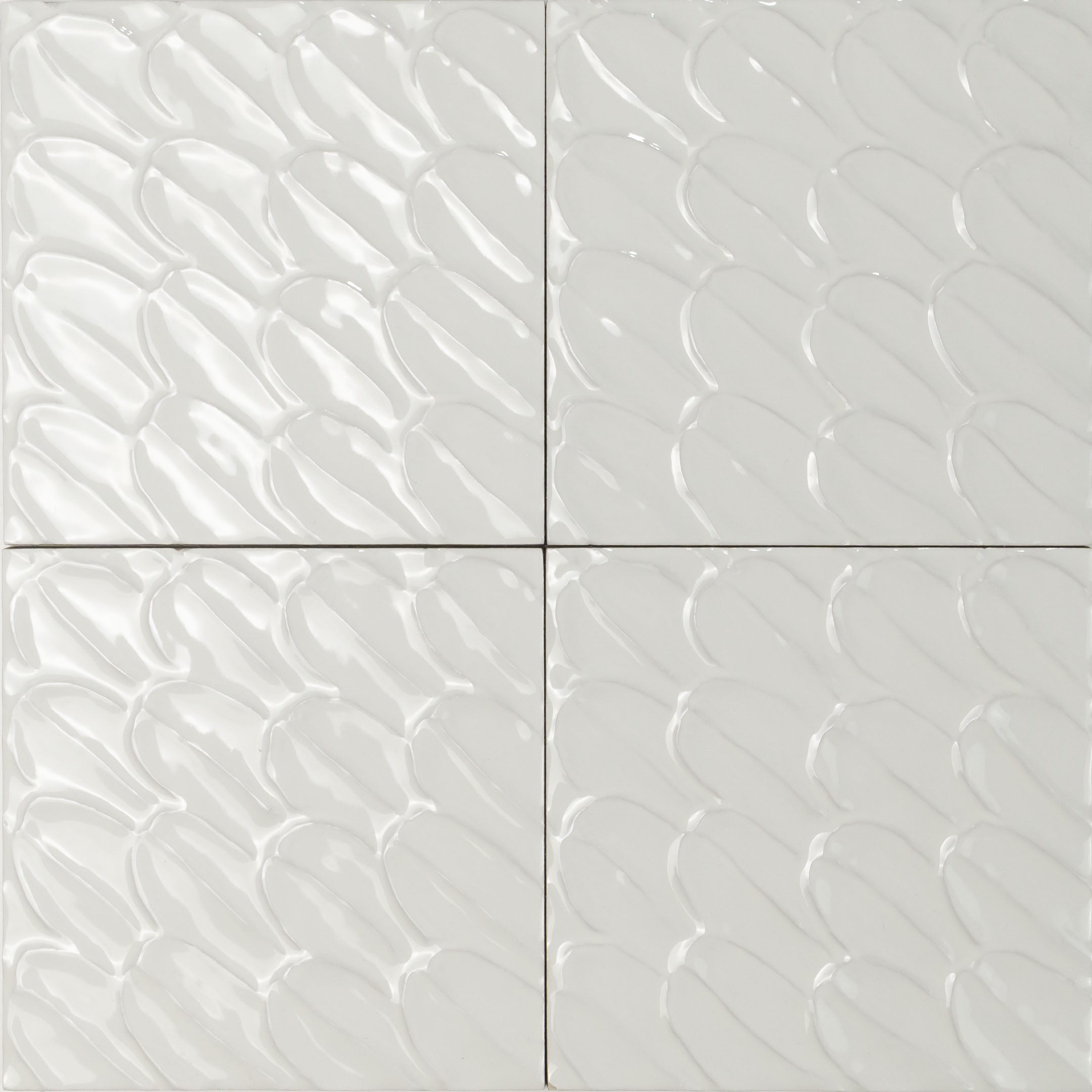 LUMiRiSE / ≠encore. Sol Series 6